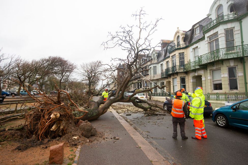 Trees are uprooted after winds reaching 100mph tore through the island in the early hours of the morning on November 2, 2023 in St Helier, Jersey.