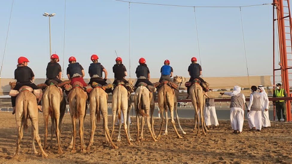 Центр верховой езды на верблюдах Аравийской пустыни (ADCRC)
