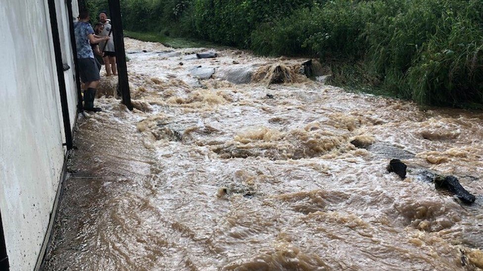 Flood wayter near Chard, Somerset