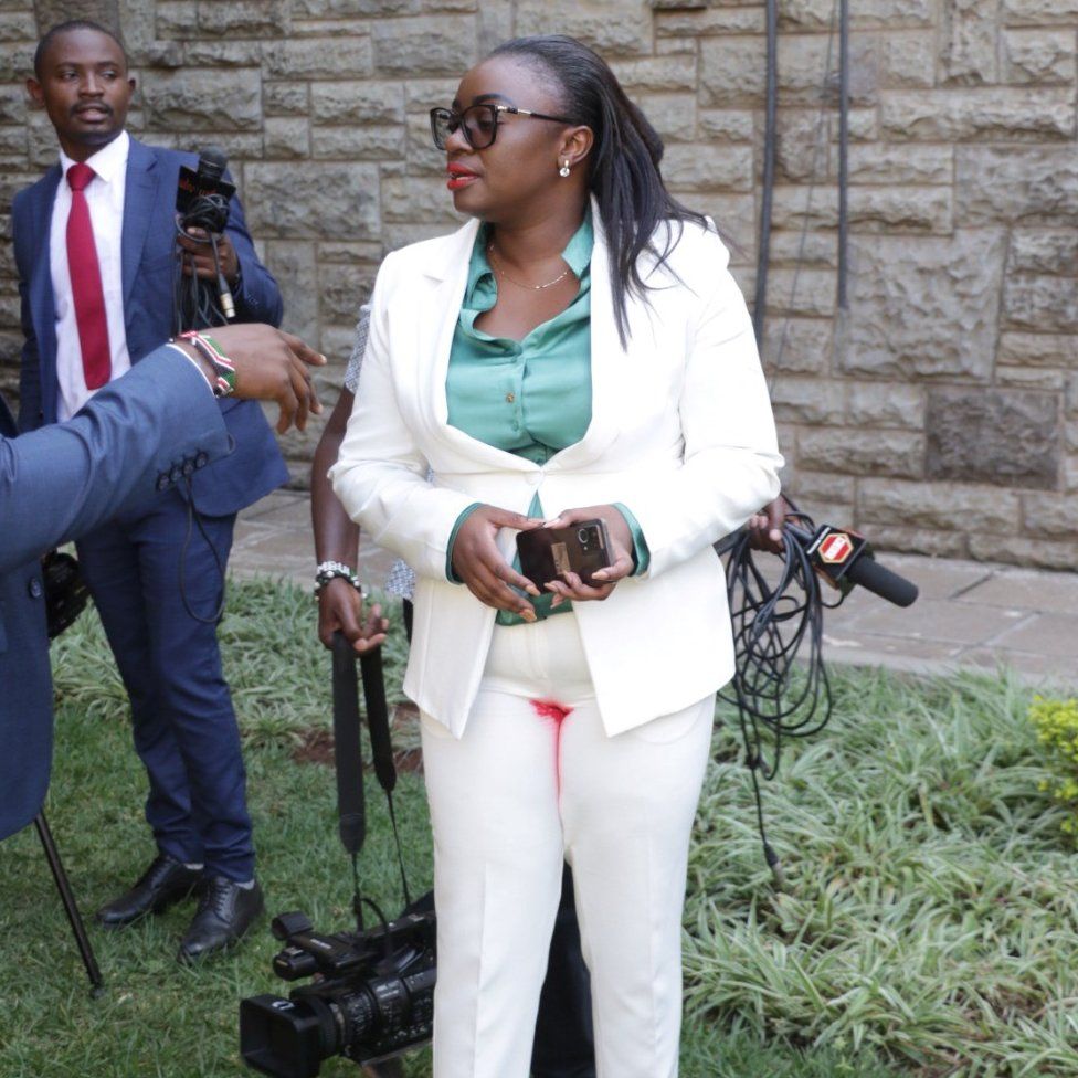 Gloria Orwoba: Kenyan senator asked to leave over 'period stain