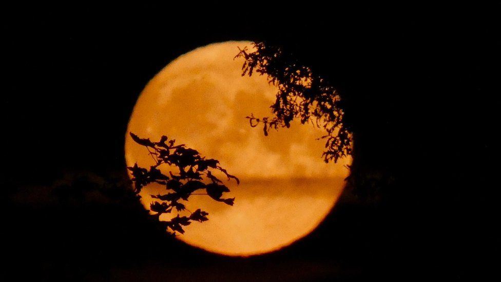 What Is A Harvest Moon Aimking