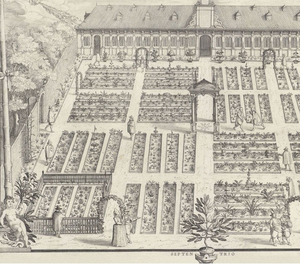 The Hortus Botanicus of Leiden University, The Netherlands, planted by Carolus Clusius