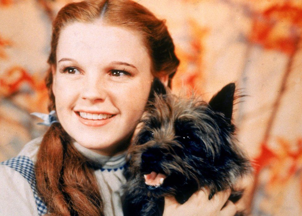 Judy Garland in Wizard of Oz