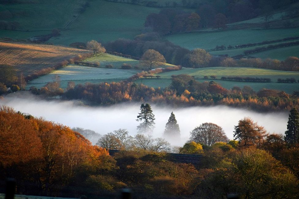 Your pictures on the theme of 'misty mornings' - BBC News