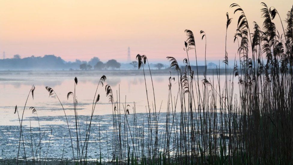 Wicken Fen