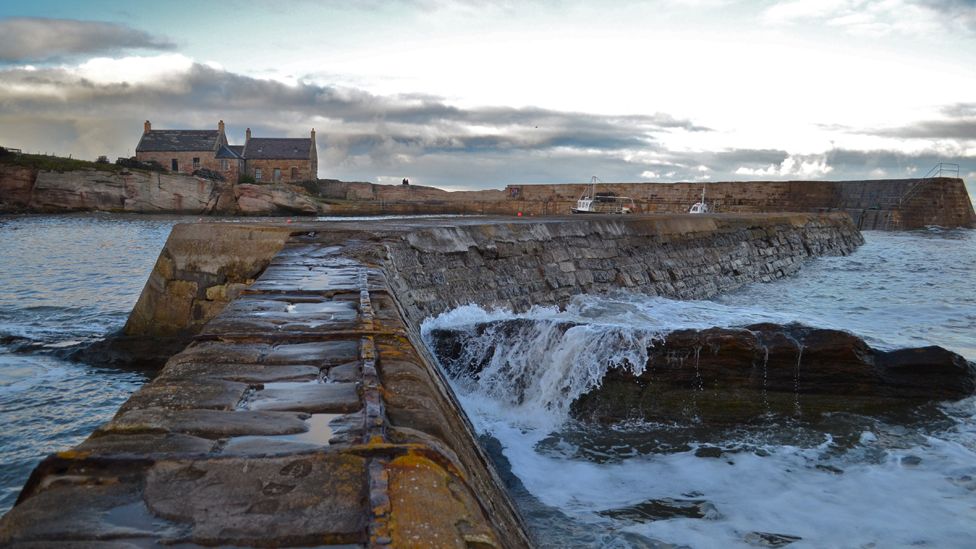 Cove harbour