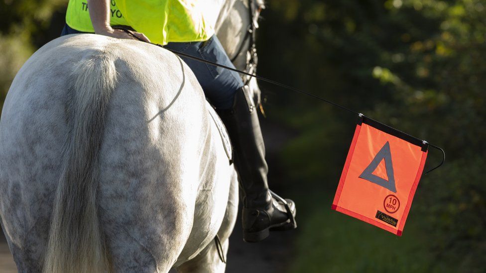 Taken from behind a horse rider while they hold the VisiWhip out to the side to signal oncoming drivers. It is bright orange and made of reflective material with a triangle in the middle, it is attached to the end of a dressage whip.