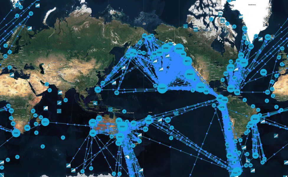 A map showing HappyWhale's recordings of whale movements