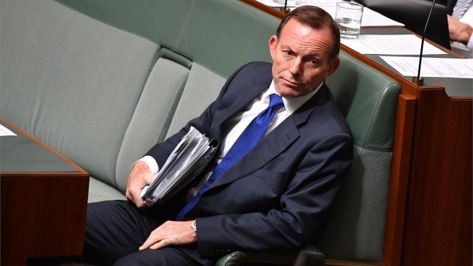 Tony Abbott sits in parliament