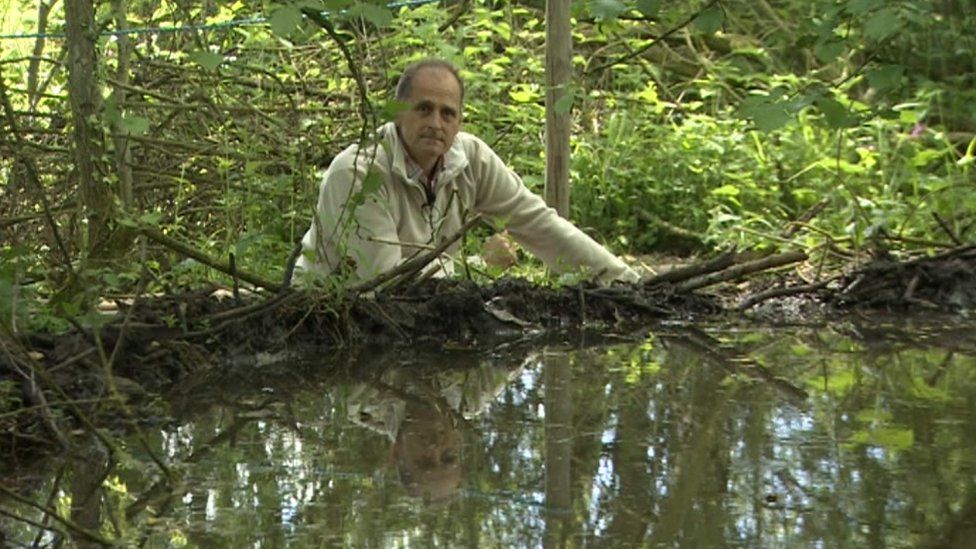 BBC Look East's Richard Daniel inspecting a dam made by beavers
