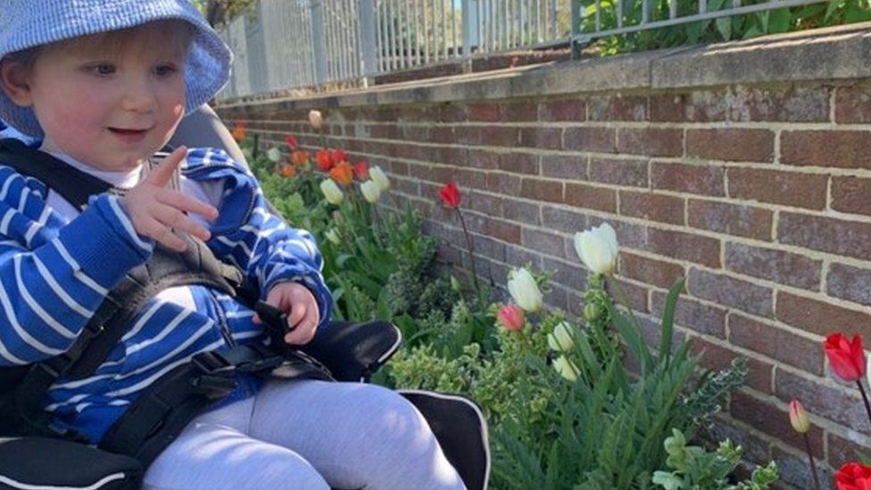 Oakley Moffat in a wheelchair in the garden looking at flowers