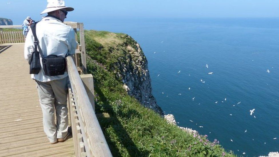 Viewpoint at RSPB Bempton reserve