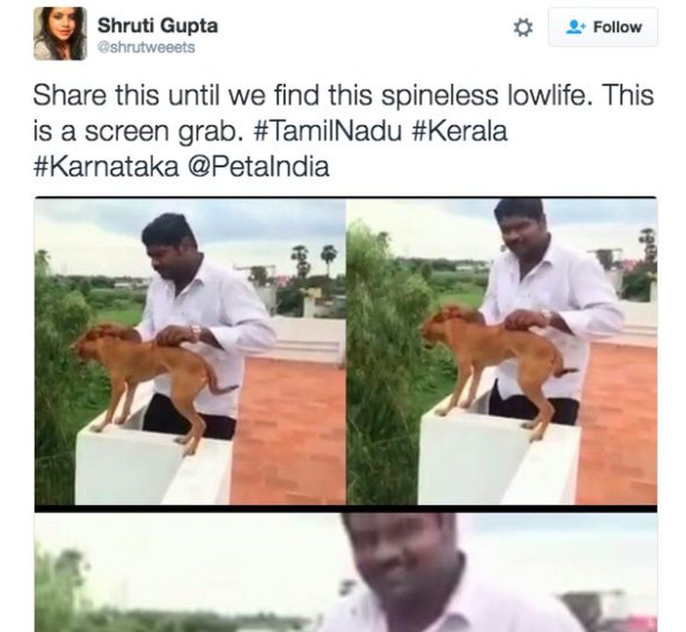 Two India students arrested for throwing dog off roof BBC News