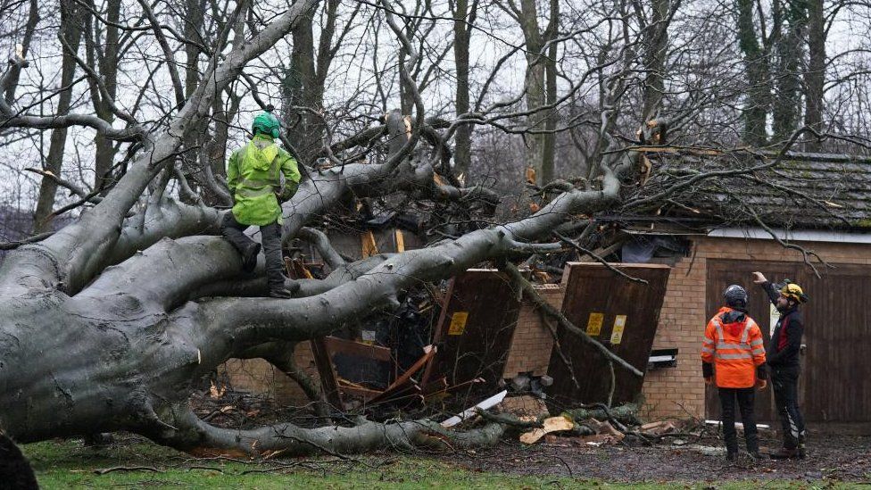 Workers remove a tree that fell on an electricity substation on the Kinnaird estate in Larbert