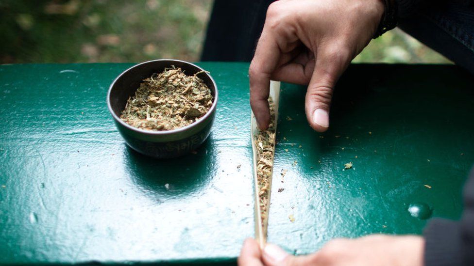 Cannabis being rolled in a park in Canada