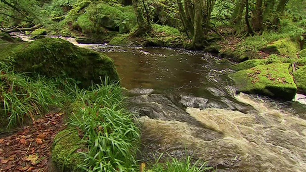 Suffolk protesters demand River Waveney clean up - BBC News