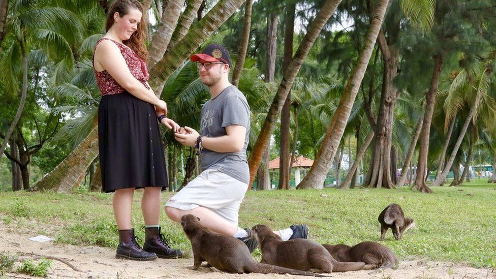 Photo of couple proposing