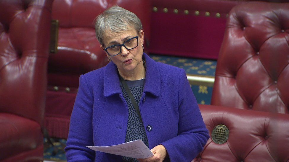 Baroness Ritchie in house of lords