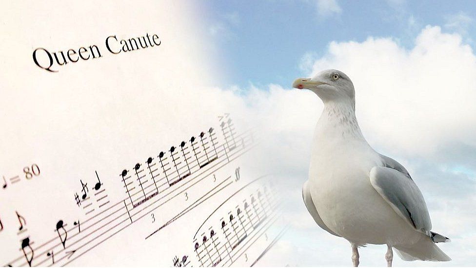 The sheet music and a seagull