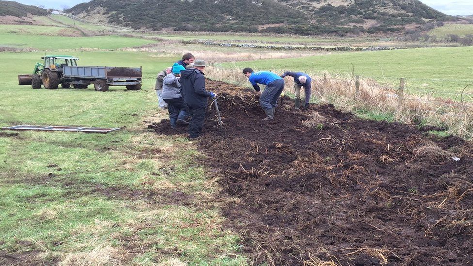 RSPB Northern Ireland volunteers have been planting strips of nettles around the edges of fields on Rathlin island