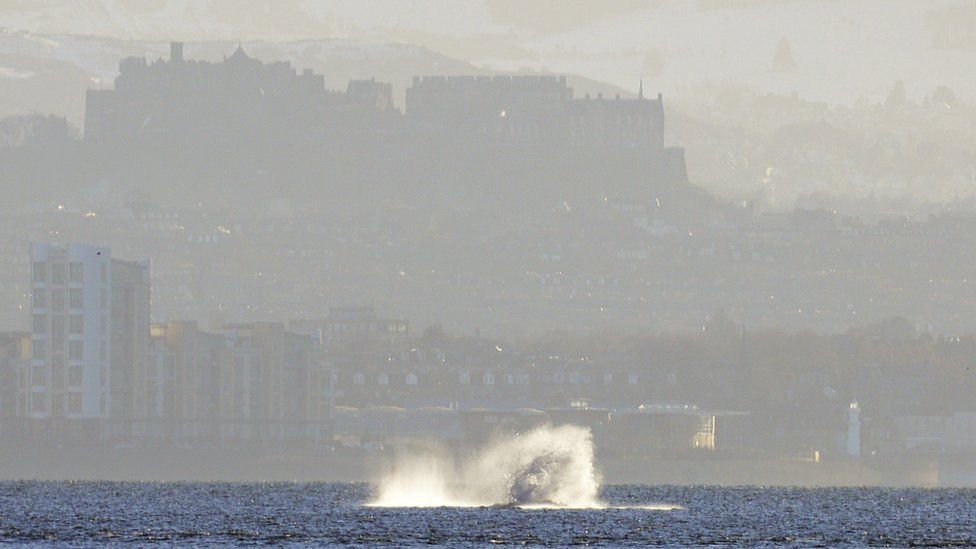 Whale in front of Edinburgh Castle