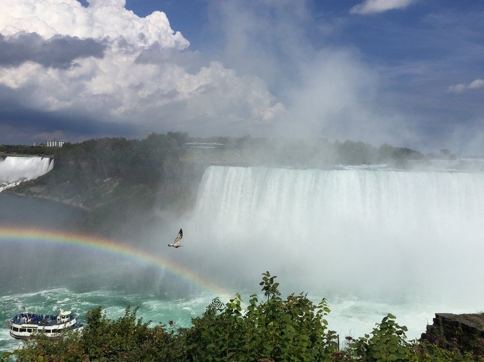 A boat sails past the Niagara Falls waterfall with a rainbow and bird above