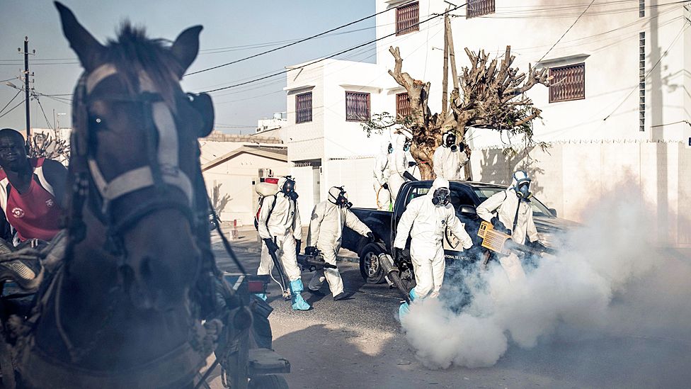 A horse and cart on a road which is being disinfected by municipal workers in Dakar, Senegal -Wednesday 1 April 2020