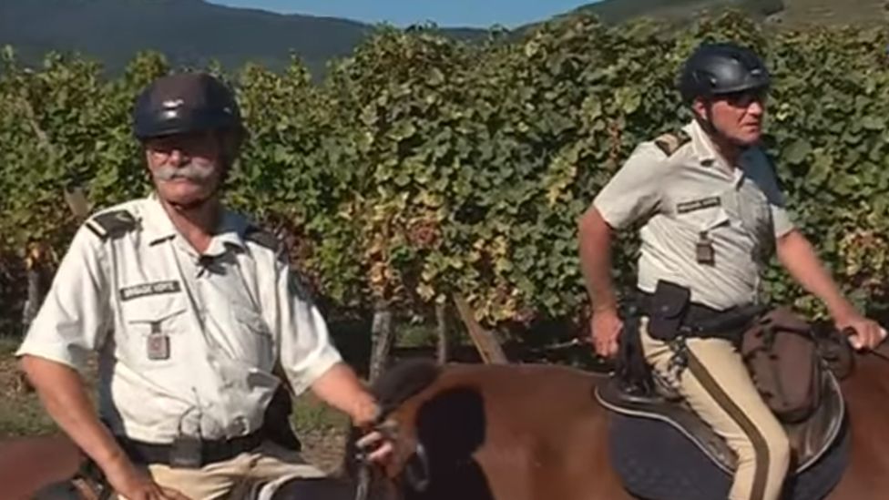 French horseback patrol of vineyards, Haut-Rhin District, September 2018