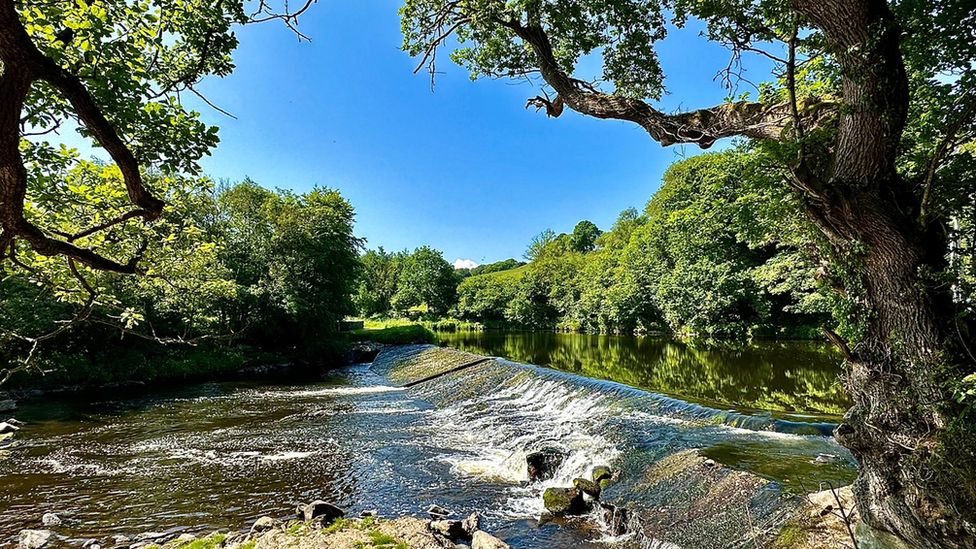 northern-ireland-enjoys-blue-skies-and-bright-sunny-weather-bbc-news