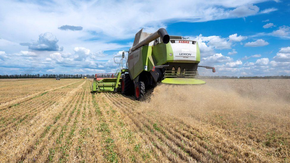 Farmers harvest a wheat field in the Ukrainian Kharkiv region on July 19, 2022, amid Russian invasion of Ukraine