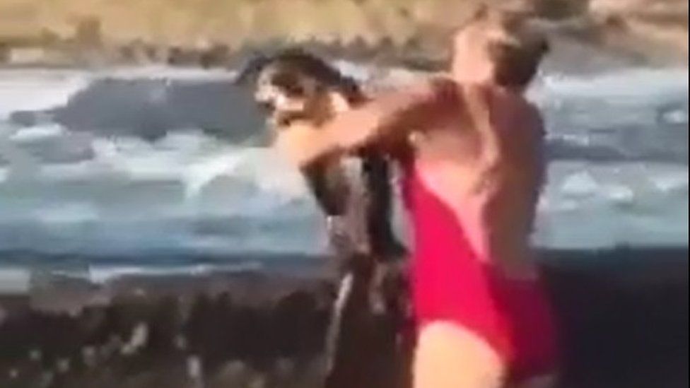 A still of a video of a woman throwing a shark out of a rock pool