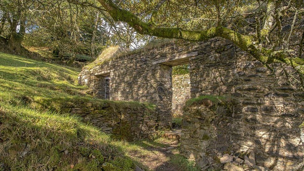 The isolated ruins of the Hoar Oak Cottage, Exmoor National Park with moss and lichen growing on them