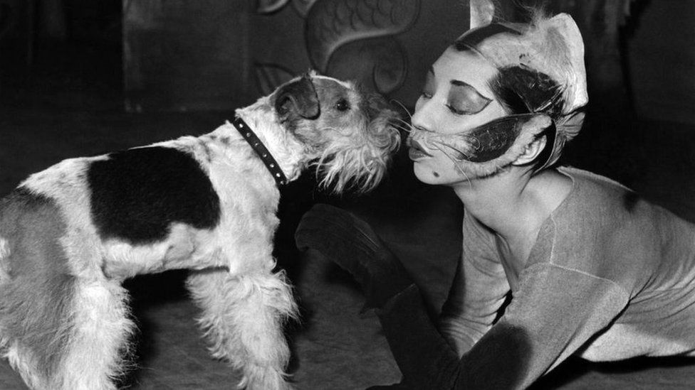 woman dressed as a cat kisses dog