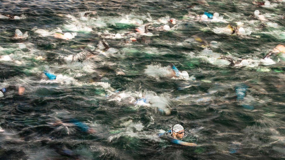 A swimmer takes the clear water at the start of the swim leg of a triathlon.
