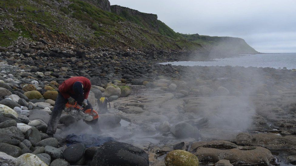 World's largest Jurassic pterosaur discovered in Scotland