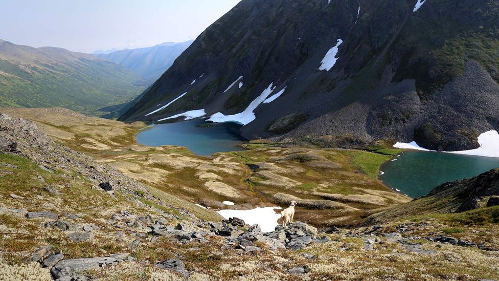 caza en Alaska