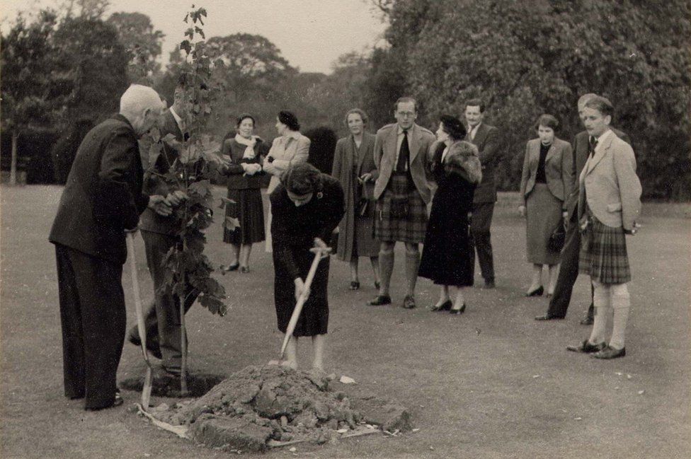 Queen planting a tree at Glamis Castle in 1953