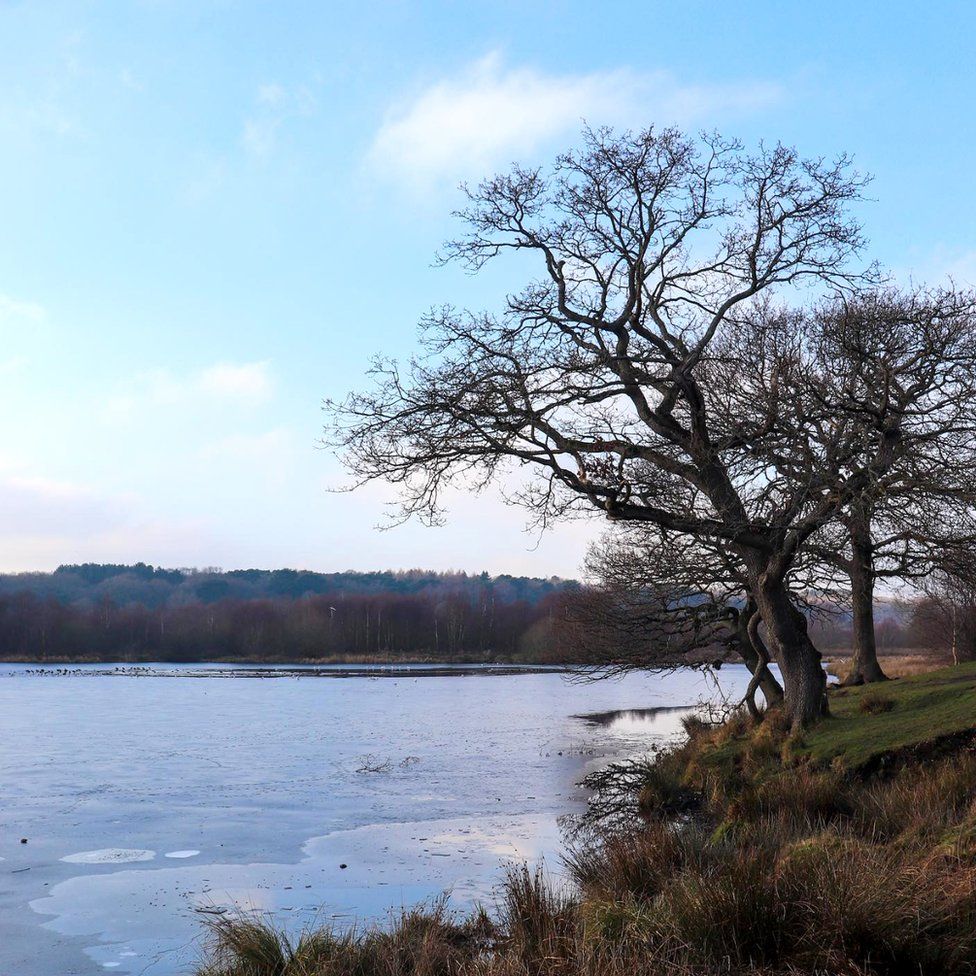 Wintry conditions at the lake in Sutton Park