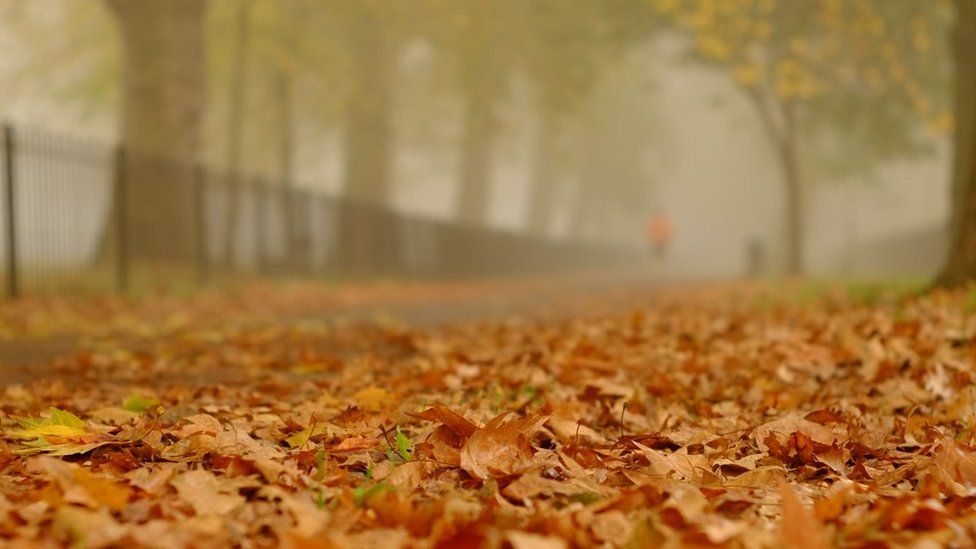 Runner in Highbury Fields