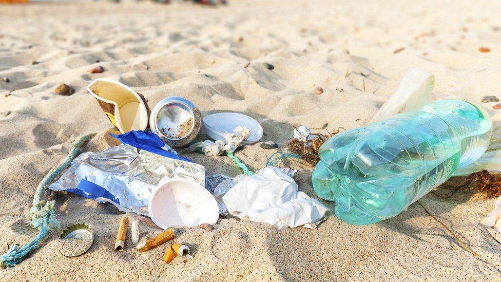 Beach litter