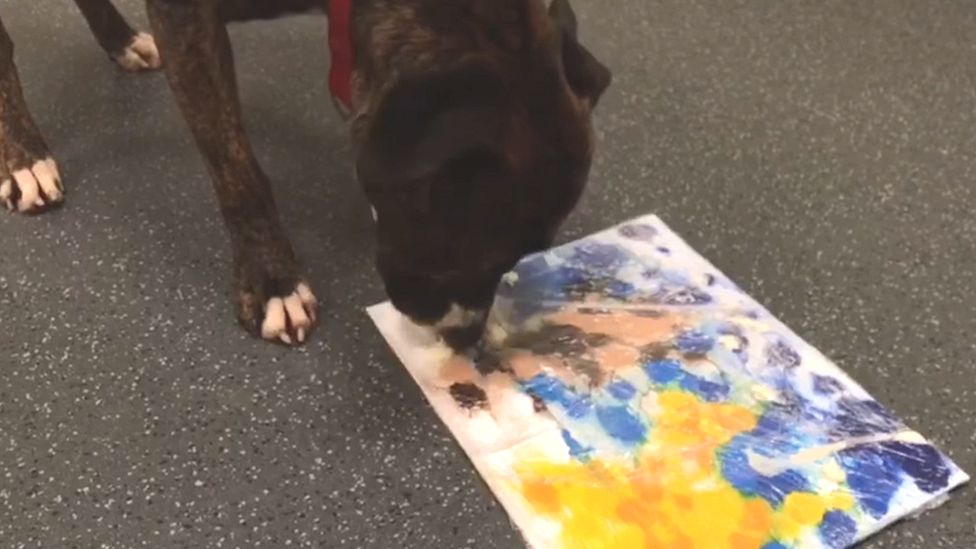 Dogs painting hot sale with paws