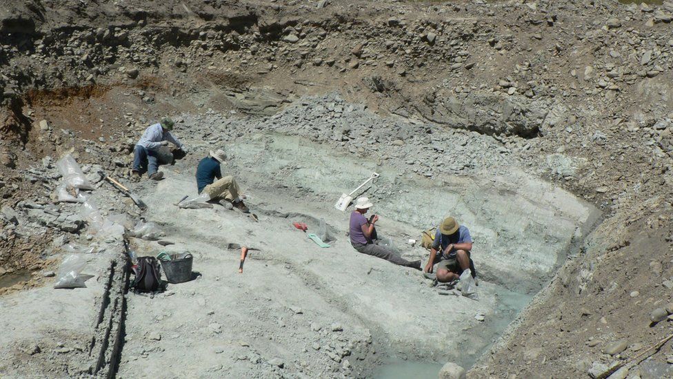The fossil dig site at St Bathans in New Zealand where the fossilised remains of an extinct burrowing bat, Vulcanops jennyworthyae, were found.
