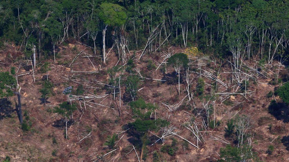 A deforested and burnt plot in Brazil's Amazon. File photo