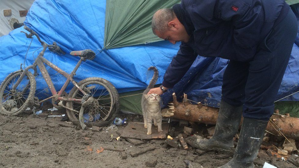 A man stroking a cat in the migrant camp