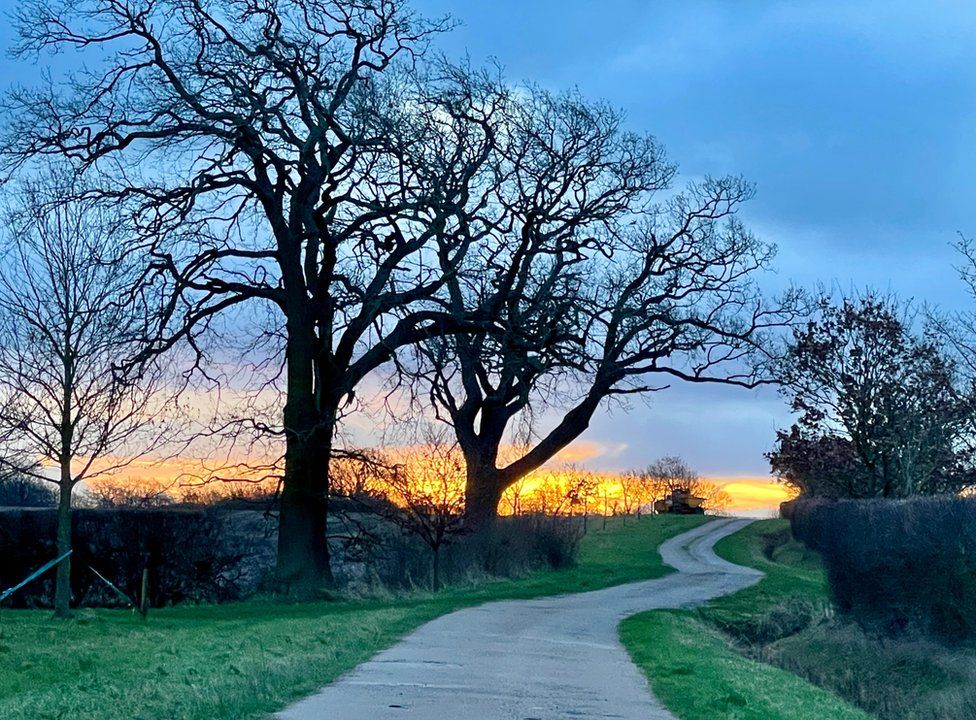 This photo of trees silhouetted against the sunrise in Waltham St Lawrence was captured by Weather Watcher Shurlock Homes