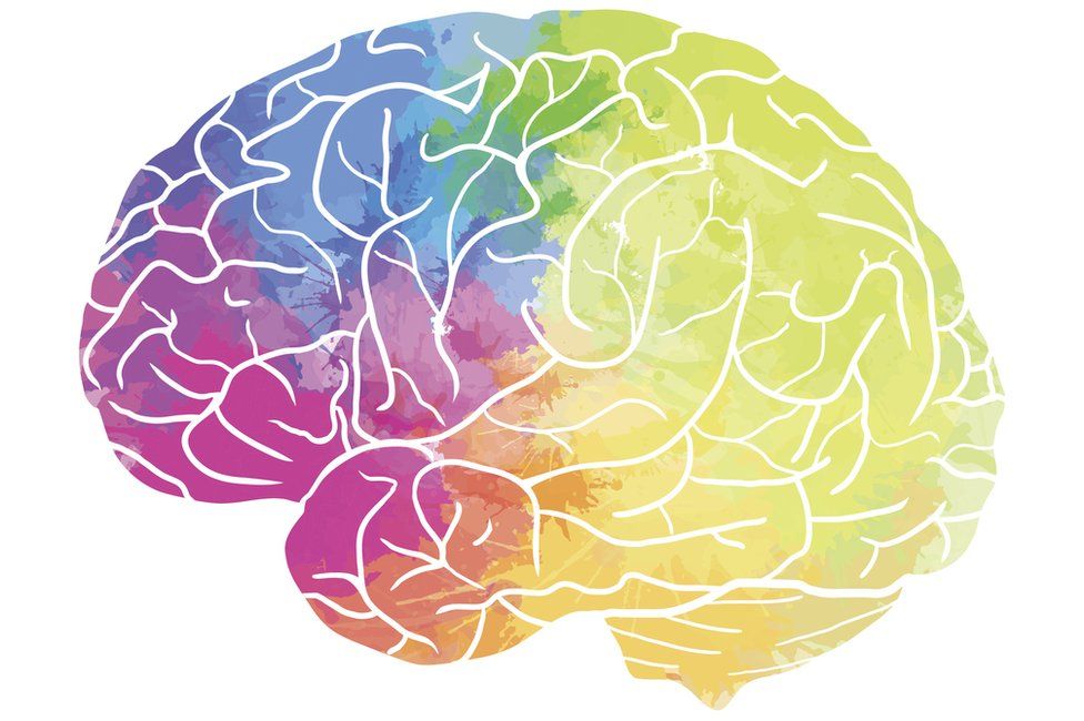 Human brain with rainbow watercolour spray on a white background