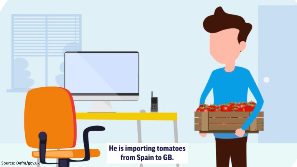 Tomato shortage: How far is Brexit to blame? - BBC News
