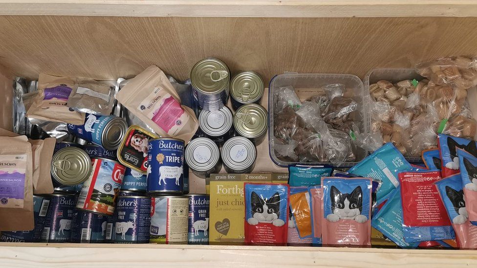 Cost of living Dorset Pet food bank opens as owners struggle BBC News