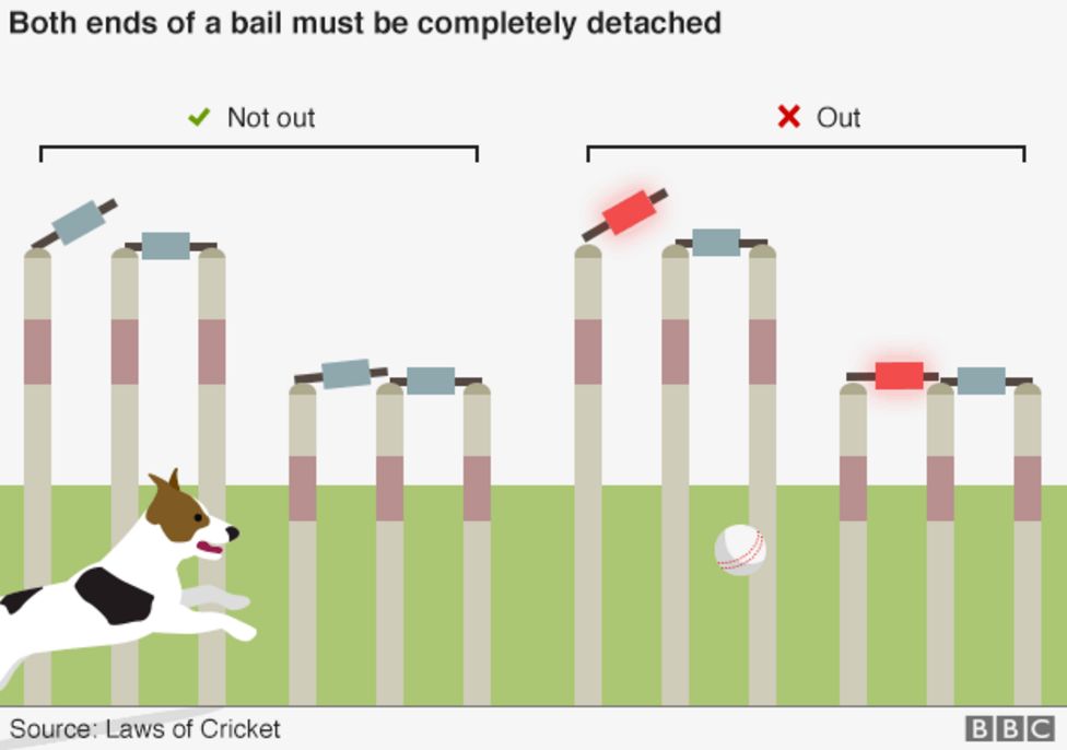 World T20 How do the lights on cricket stumps work? BBC News