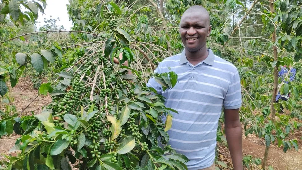 The bean that could change the taste of coffee